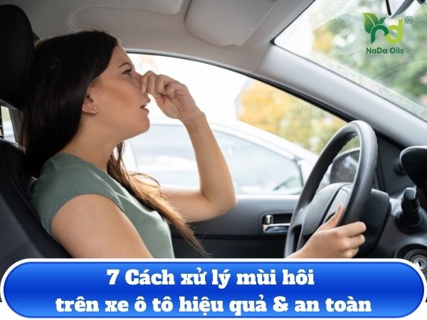 7 Cách xử lý mùi hôi trên xe ô tô hiệu quả & an toàn 2025