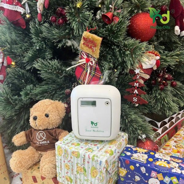 Ưu Đãi Giáng Sinh Tinh Dầu & Máy Khuếch Tán NaDa Oils
