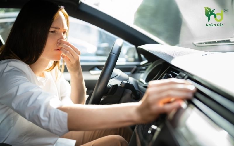 cách xử lý mùi hôi trên xe ô tô