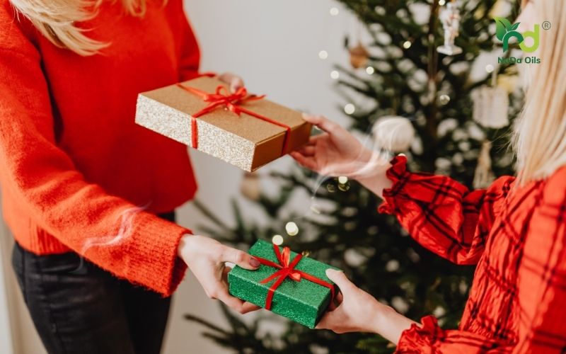 Set quà tặng giáng sinh NaDa Oils 