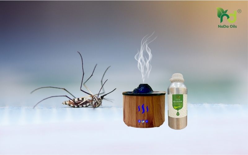 Tinh dầu sả chanh đuổi muỗi có hiệu quả không