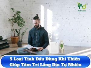 5 Loại Tinh Dầu Dùng Khi Thiền Giúp Tâm Trí Lắng Dịu Tự Nhiên