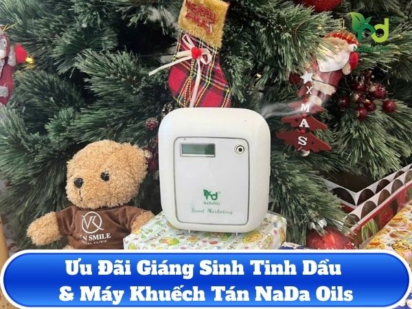 Đón Noel Sớm: Ưu Đãi Giáng Sinh Tinh Dầu & Máy Khuếch Tán NaDa Oils