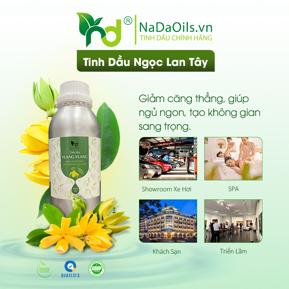 Tinh Dầu Spa Cao Cấp