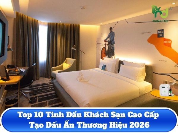 Top 10 Tinh Dầu Khách Sạn Cao Cấp Tạo Dấu Ấn Thương Hiệu 2026