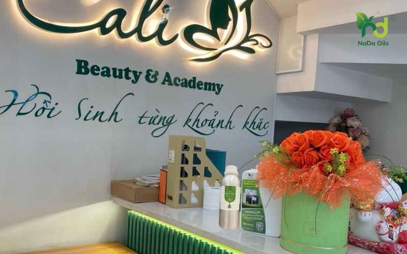 Tinh Dầu Spa Cao Cấp