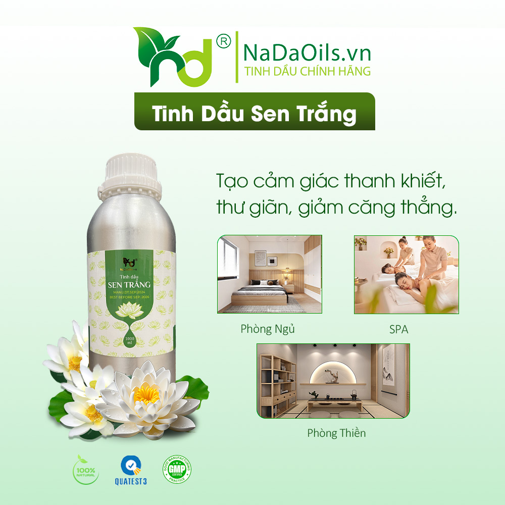 Mua Tinh Dầu Spa Ở Đà Lạt