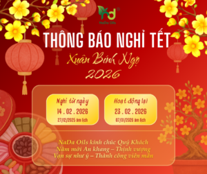 lịch nghỉ tết nguyên đán 2026