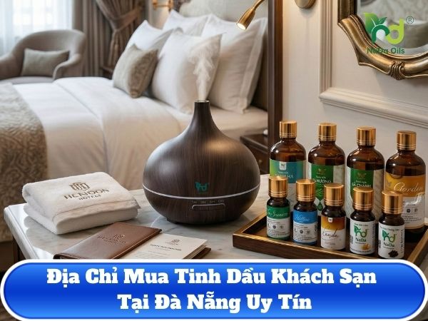 mua tinh dau khach san tai da nang (4)