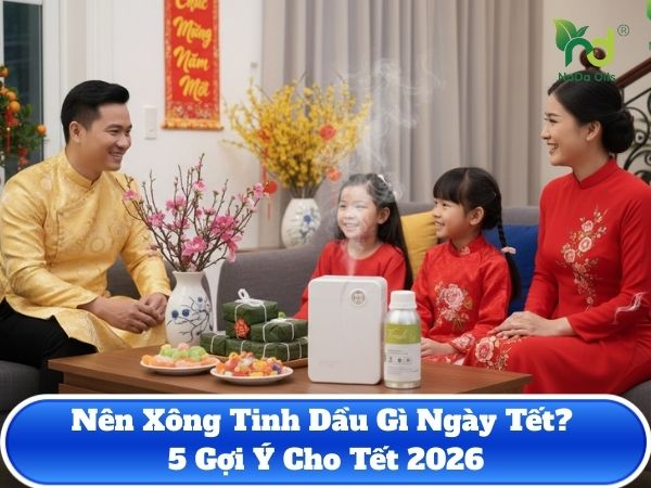 Nên Xông Tinh Dầu Gì Ngày Tết? 5 Gợi Ý Cho 2026