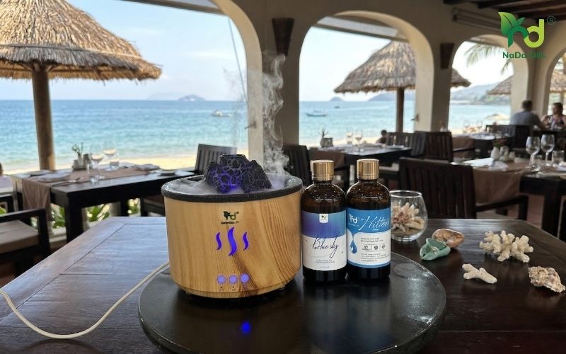 Địa Chỉ Cửa Hàng Tinh Dầu Bình Thuận