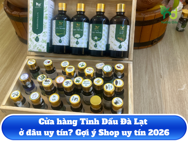 Cửa hàng Tinh Dầu Đà Lạt ở đâu uy tín? Gợi ý Shop uy tín 2026