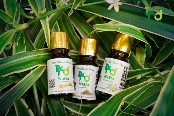 Top Địa Chỉ Cửa Hàng Tinh Dầu Đà Nẵng Uy Tín Nhất 2026