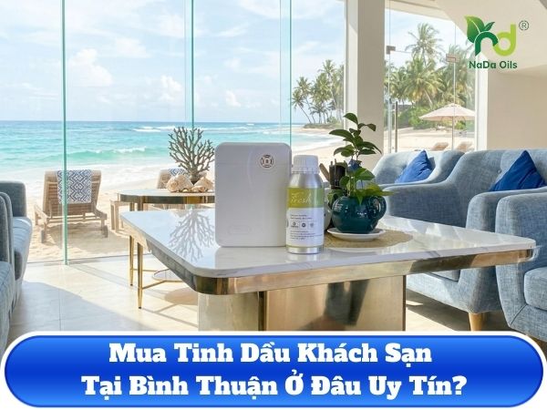 Mua Tinh Dầu Khách Sạn Tại Bình Thuận Ở Đâu Uy Tín 2026?