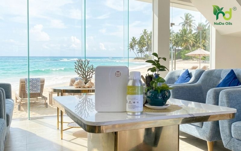 Mua Tinh Dầu Khách Sạn Tại Bình Thuận