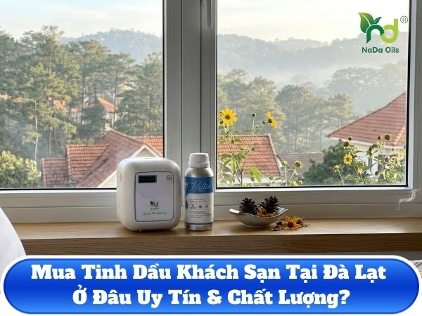 mua tinh dau khach san tai da lat (1)