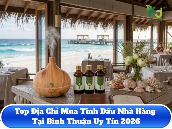 Top Địa Chỉ Mua Tinh Dầu Nhà Hàng Tại Bình Thuận Uy Tín 2026
