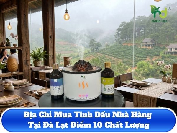 Địa Chỉ Mua Tinh Dầu Nhà Hàng Tại Đà Lạt Điểm 10 Chất Lượng