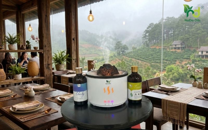 mua tinh dầu nhà hàng tại Đà Lạt 