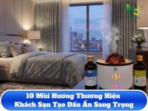 Mùi Hương Thương Hiệu Khách Sạn