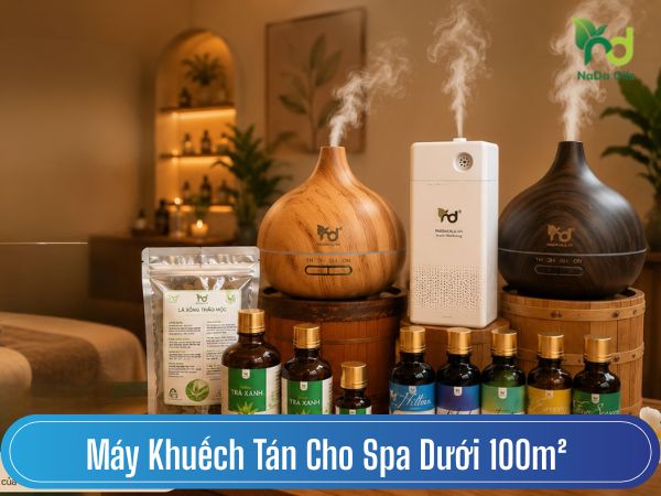 Máy Khuếch Tán Cho Spa Dưới 100m² Nên Chọn Loại Nào Tốt?