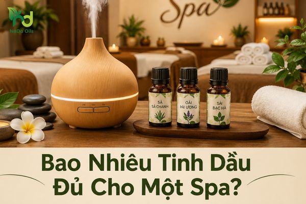 Bao Nhiêu Tinh Dầu Đủ Cho Một Spa?