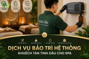 Bảo Trì Hệ Thống Khuếch Tán Tinh Dầu Cho Spa