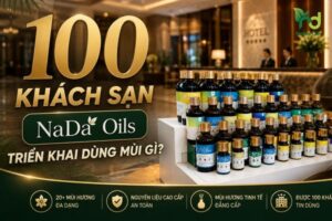 100 Khách Sạn NaDa Oils Triển Khai Dùng Mùi Gì?