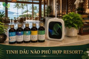 Tinh Dầu Nào Phù Hợp Resort?