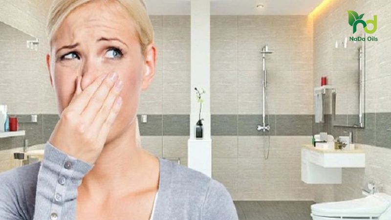 Cách khử mùi nhà vệ sinh khách sạn