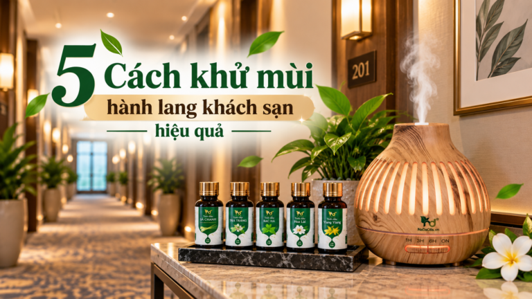 5 Cách khử mùi hành lang khách sạn hiệu quả [Update 2026]