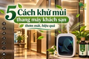 khử mùi thang máy khách sạn