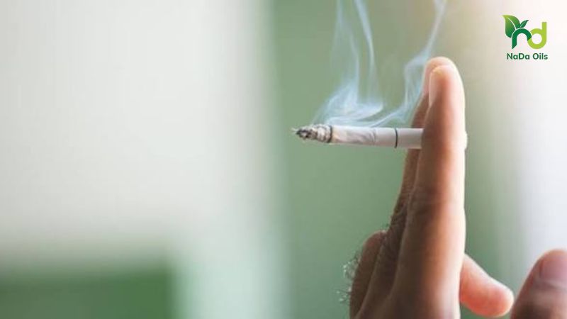Khử mùi thuốc lá khách sạn