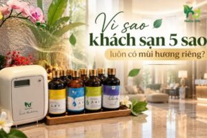 Mùi hương khách sạn 5 sao