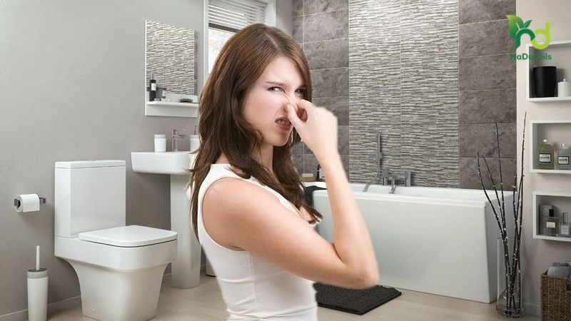 5 Cách Khử Mùi Nhà Vệ Sinh Nhà Hàng Hiệu Quả